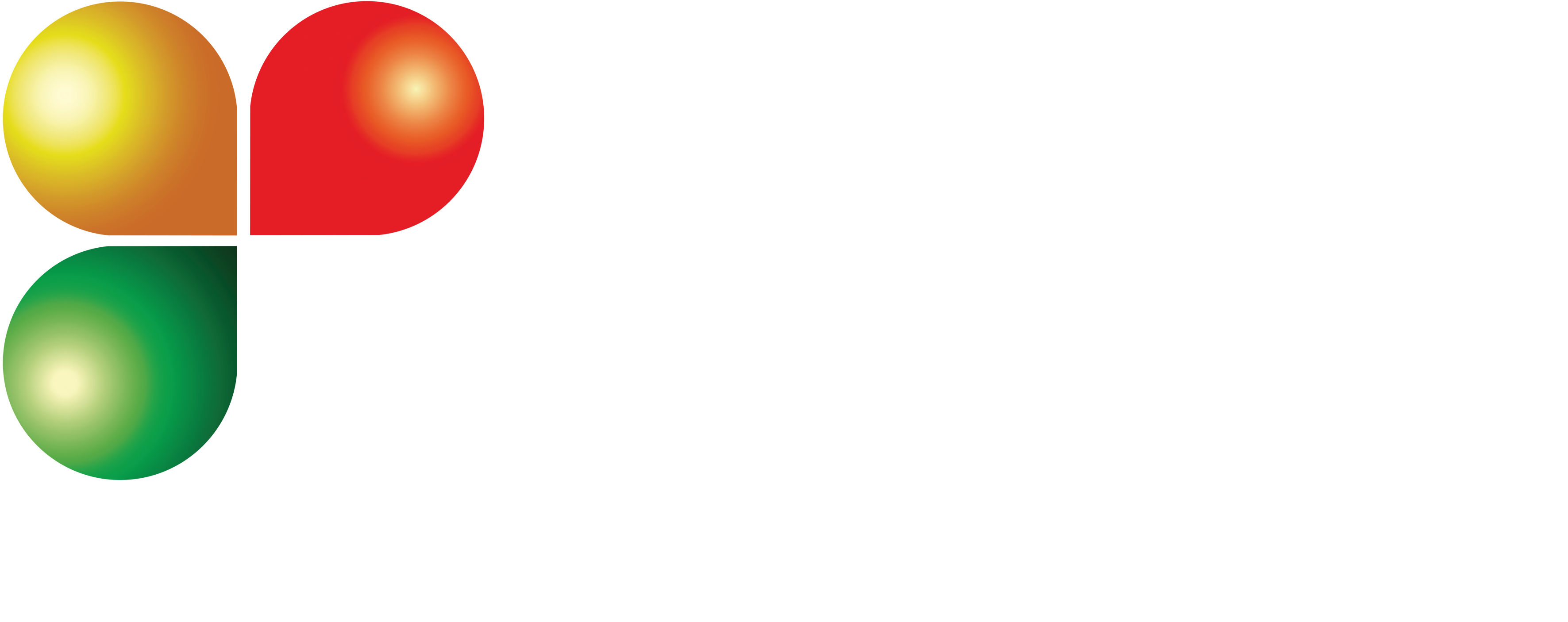 Моторни масла BIZOL